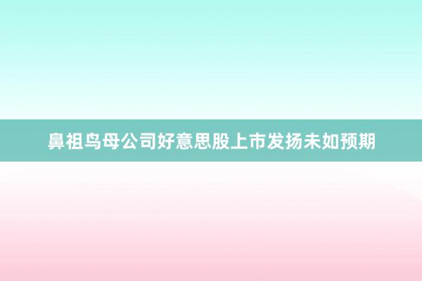 鼻祖鸟母公司好意思股上市发扬未如预期