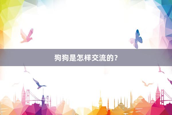 狗狗是怎样交流的？