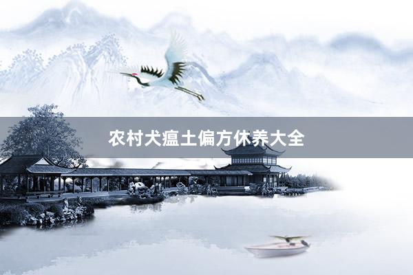 农村犬瘟土偏方休养大全